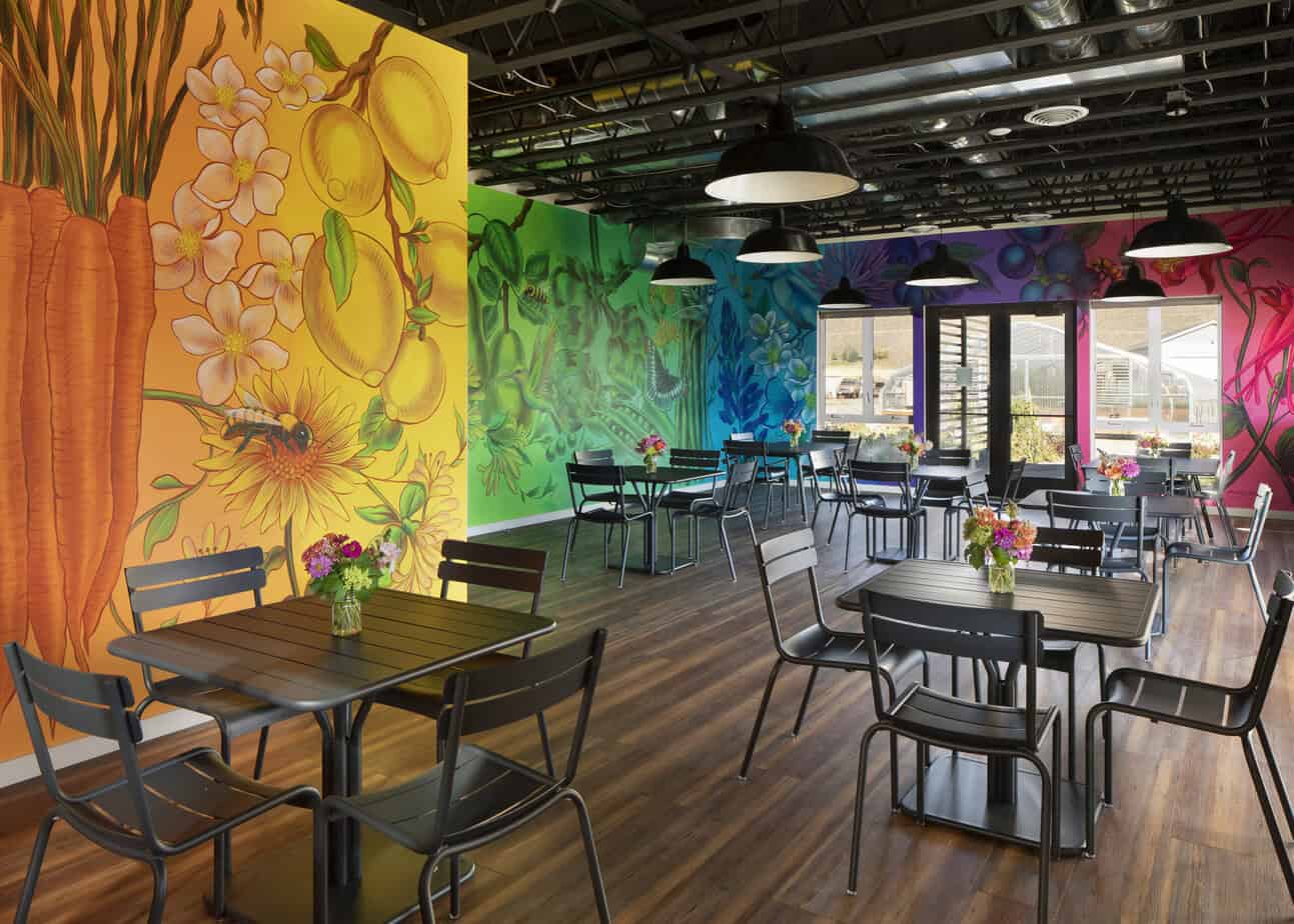 The Hunger Coalition | Hailey Idaho